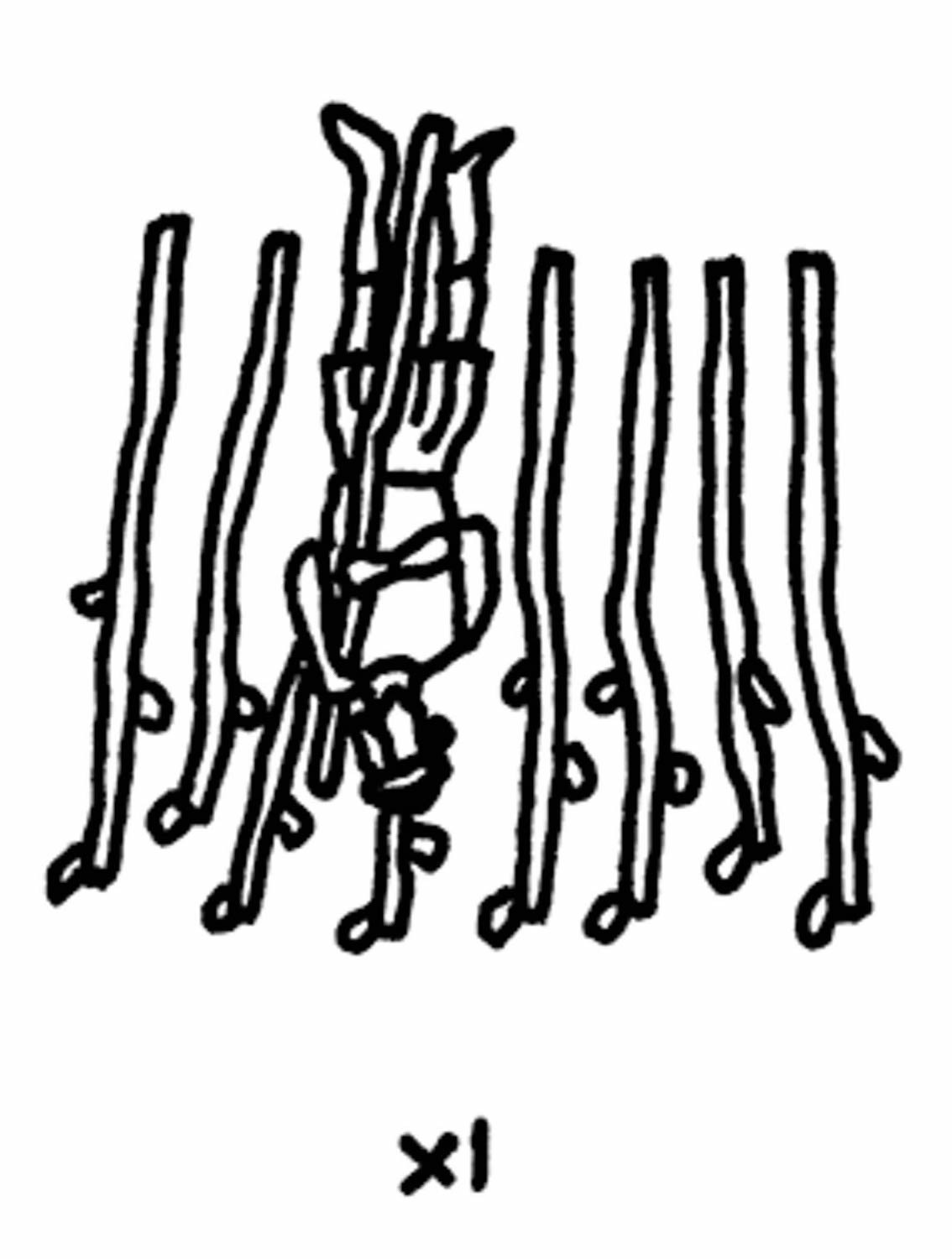 【かに座】Juicy☆「今月のえらい子ちゃん」へ　8月12日〜9月11日