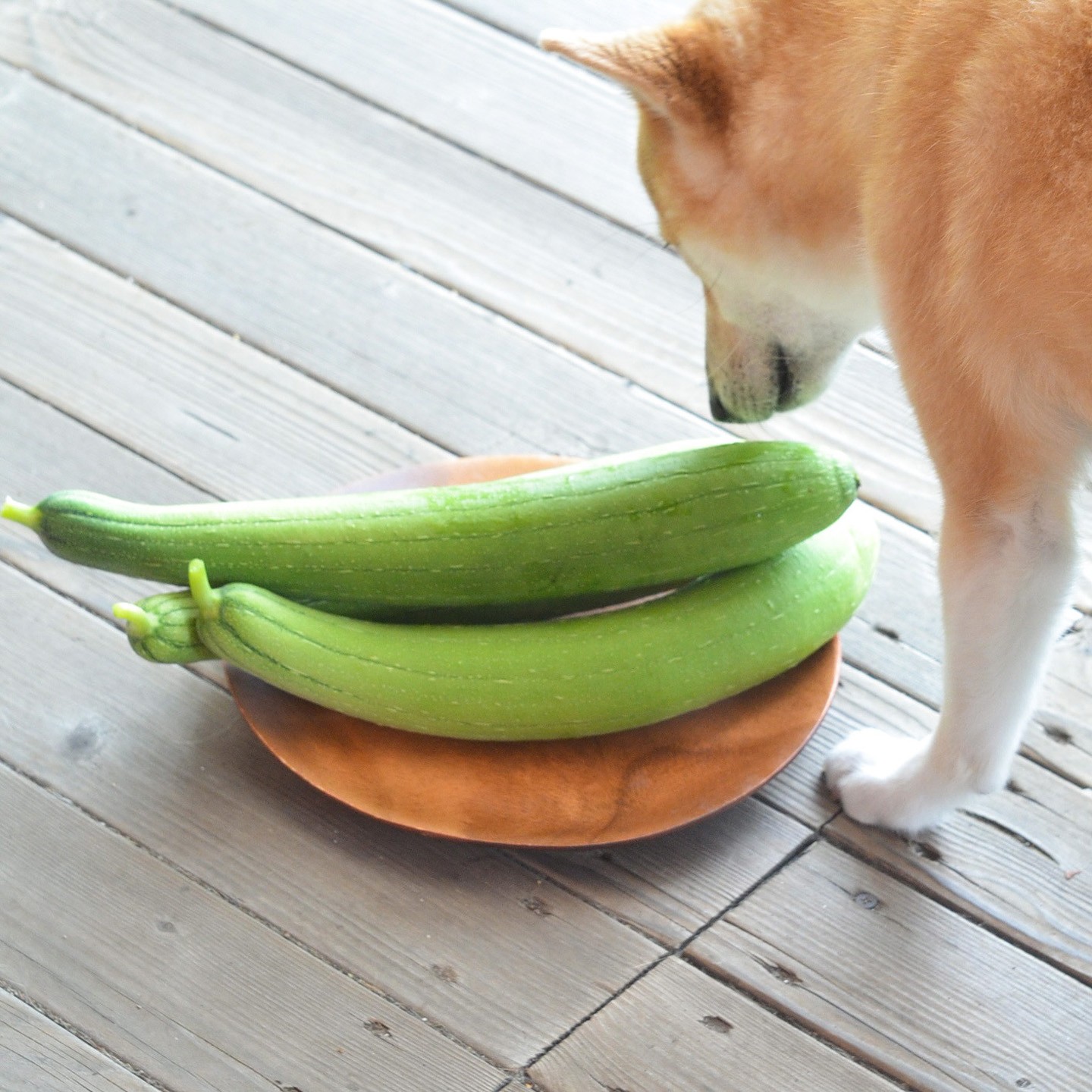 となりの5分メシ vol.94 - Slide:2