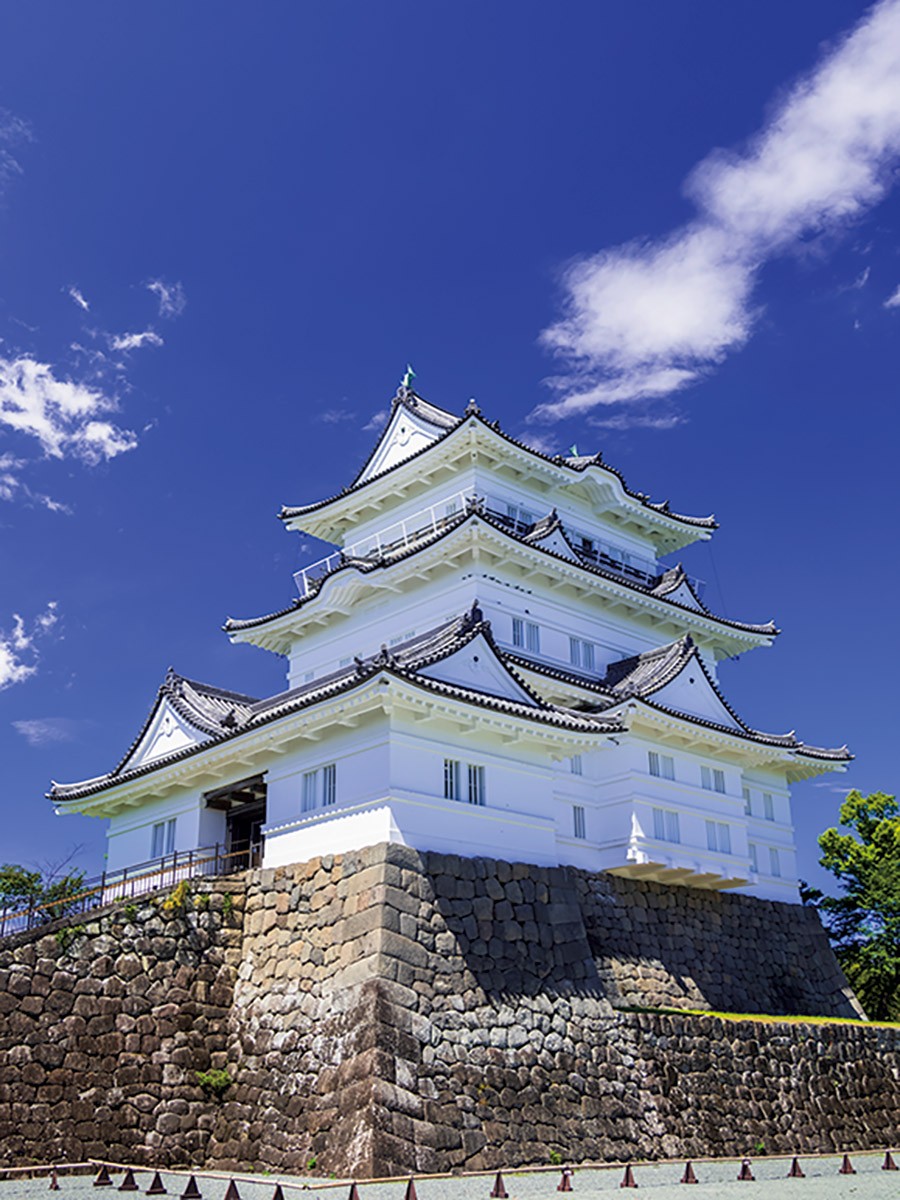 築城の歴史は中世までさかのぼるが、江戸期には徳川譜代大名が代々の城主を務め、白漆喰を塗り籠めた天守となった。現在の天守は1960年に復元された鉄筋コンクリート造。平成の大改修で一段と白さが増した。