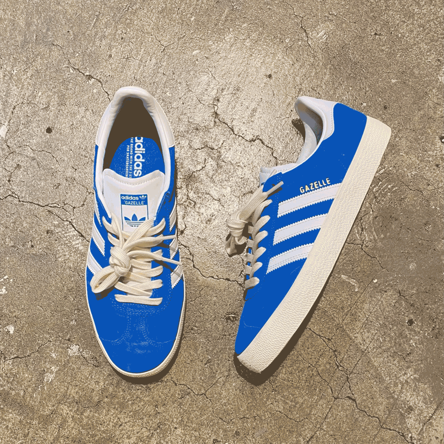 スニーカー愛が止まらない！ Vol.52  男成公平