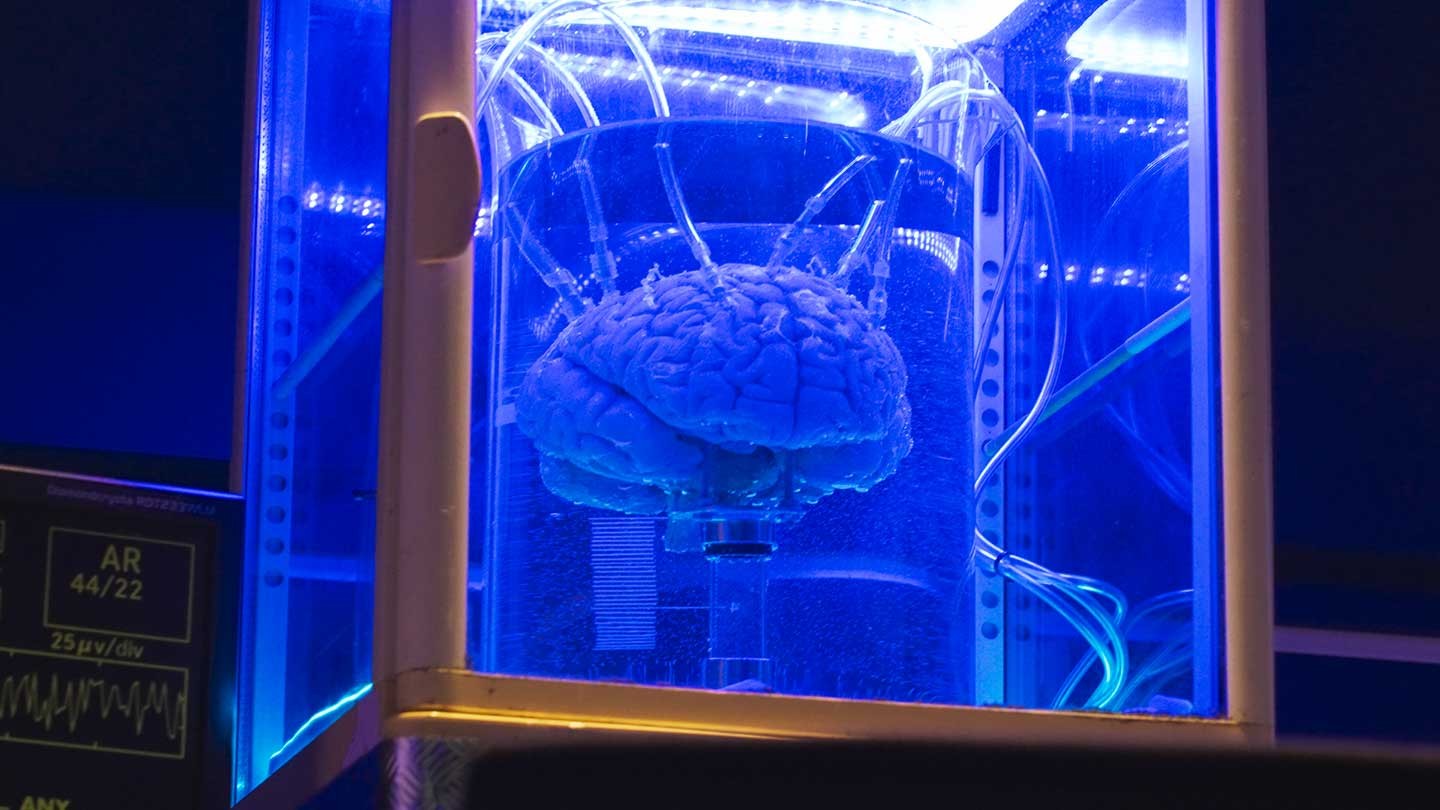 柄本時生　伊藤万理華　インタビュー　『PORTAL-X 〜ドアの向こうの観察記録〜』 - Slide:3