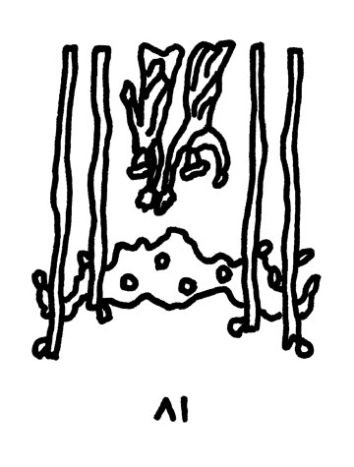 【ふたご座】Juicy☆「今月のえらい子ちゃん」へ　4月12日〜5月10日