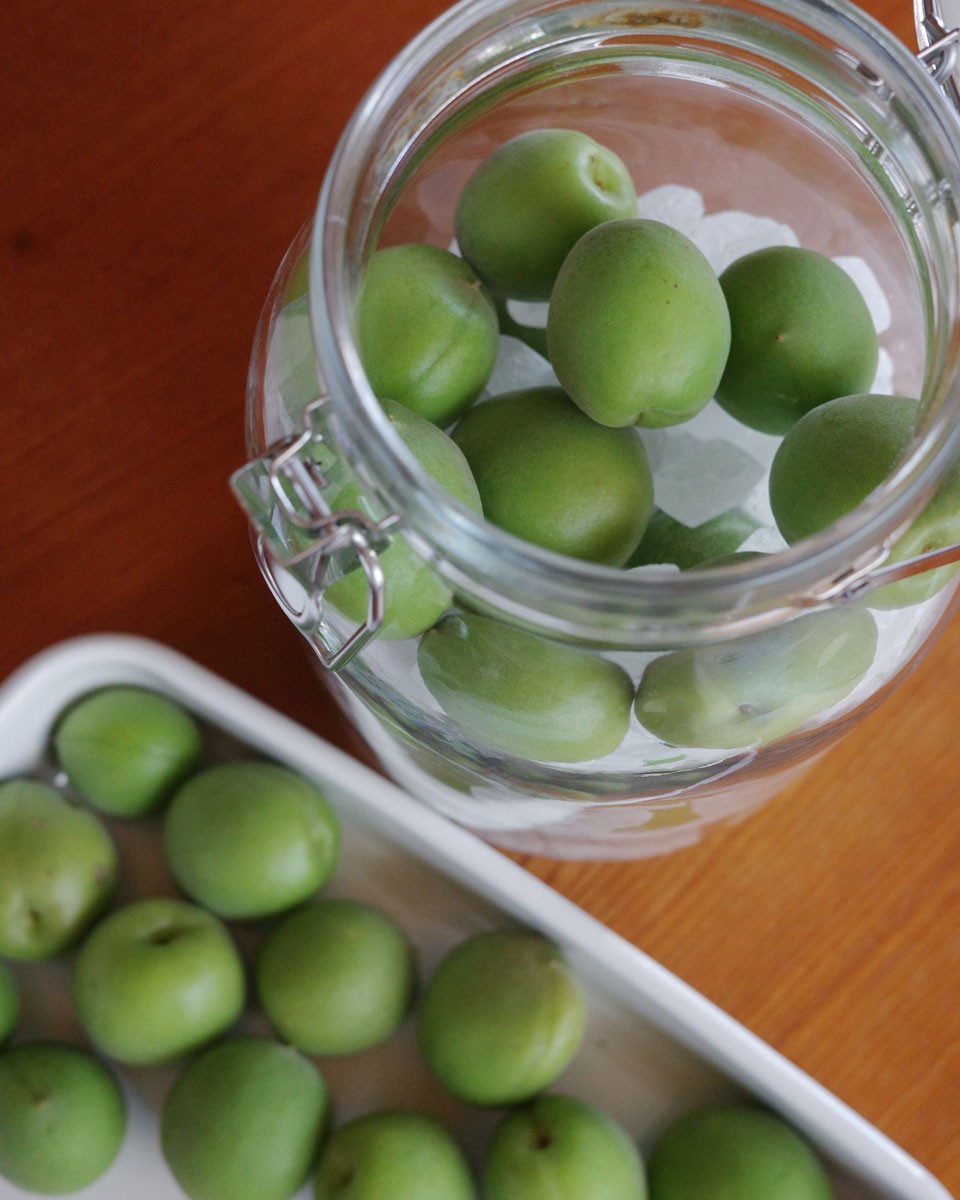 姉妹でつづる好日日記｜梅仕事｜梅シロップ