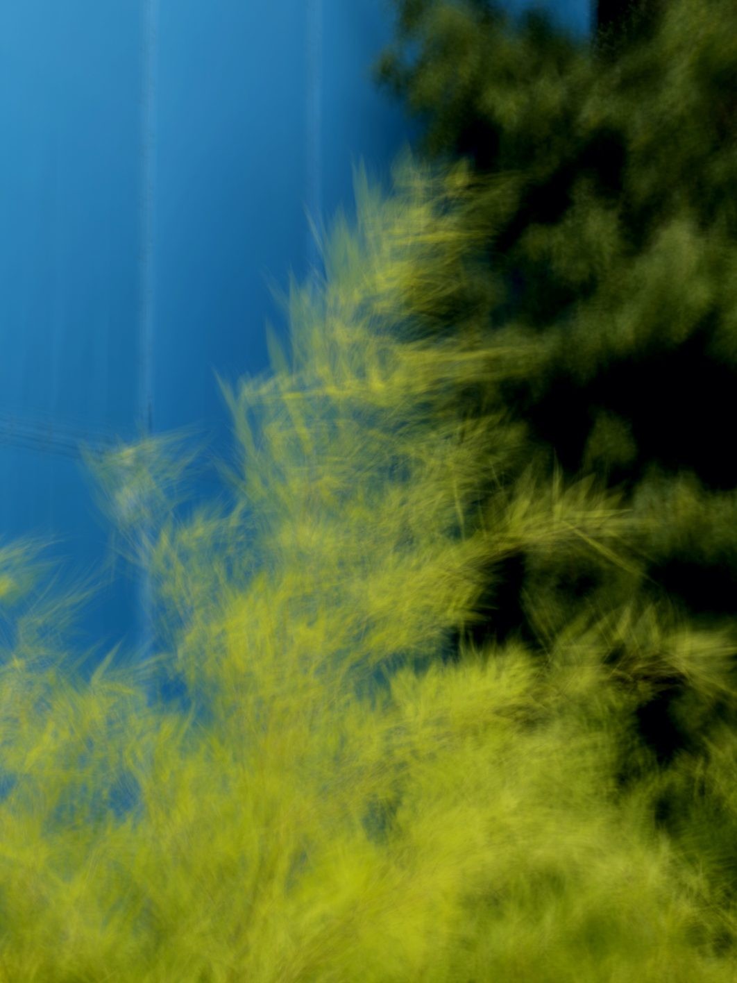 東京デザインスタジオニューバランス, TDSニューバランス - Slide:4