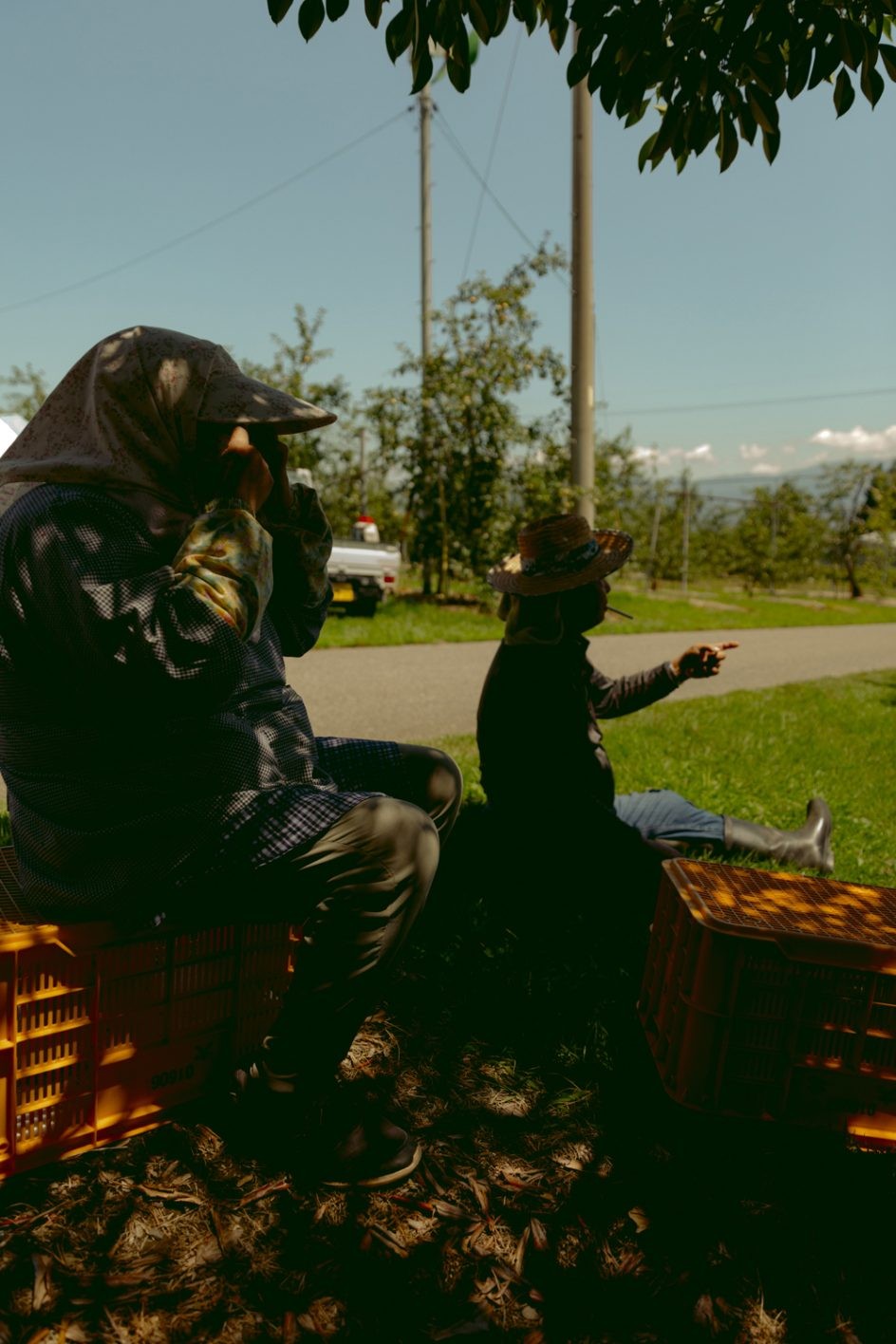 りんごジュースブランド〈La mela／ラ・メラ〉　代官山 - Slide:3