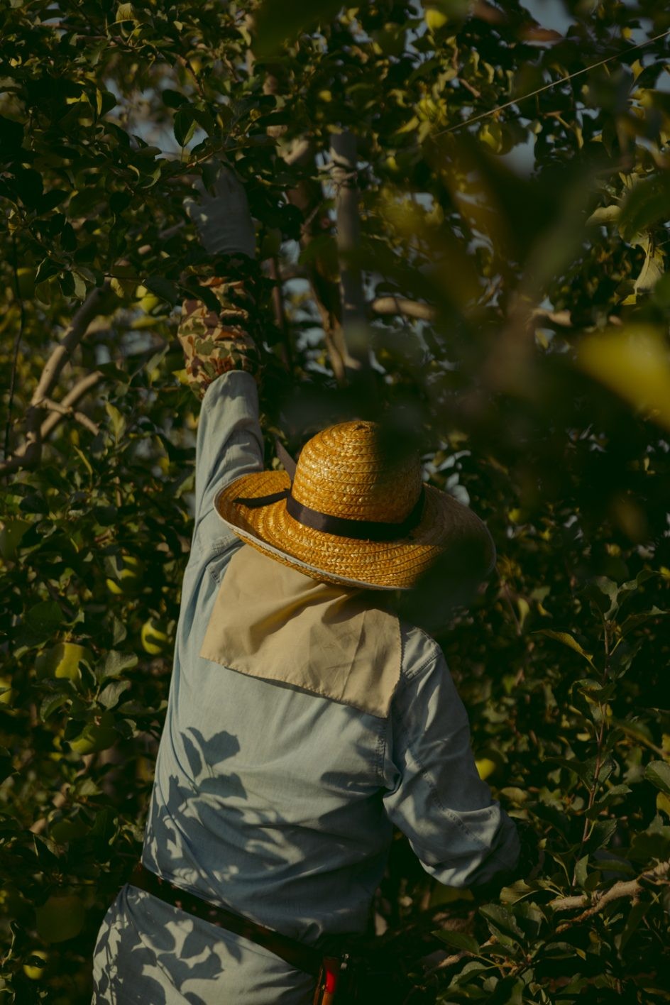 りんごジュースブランド〈La mela／ラ・メラ〉　代官山 - Slide:2