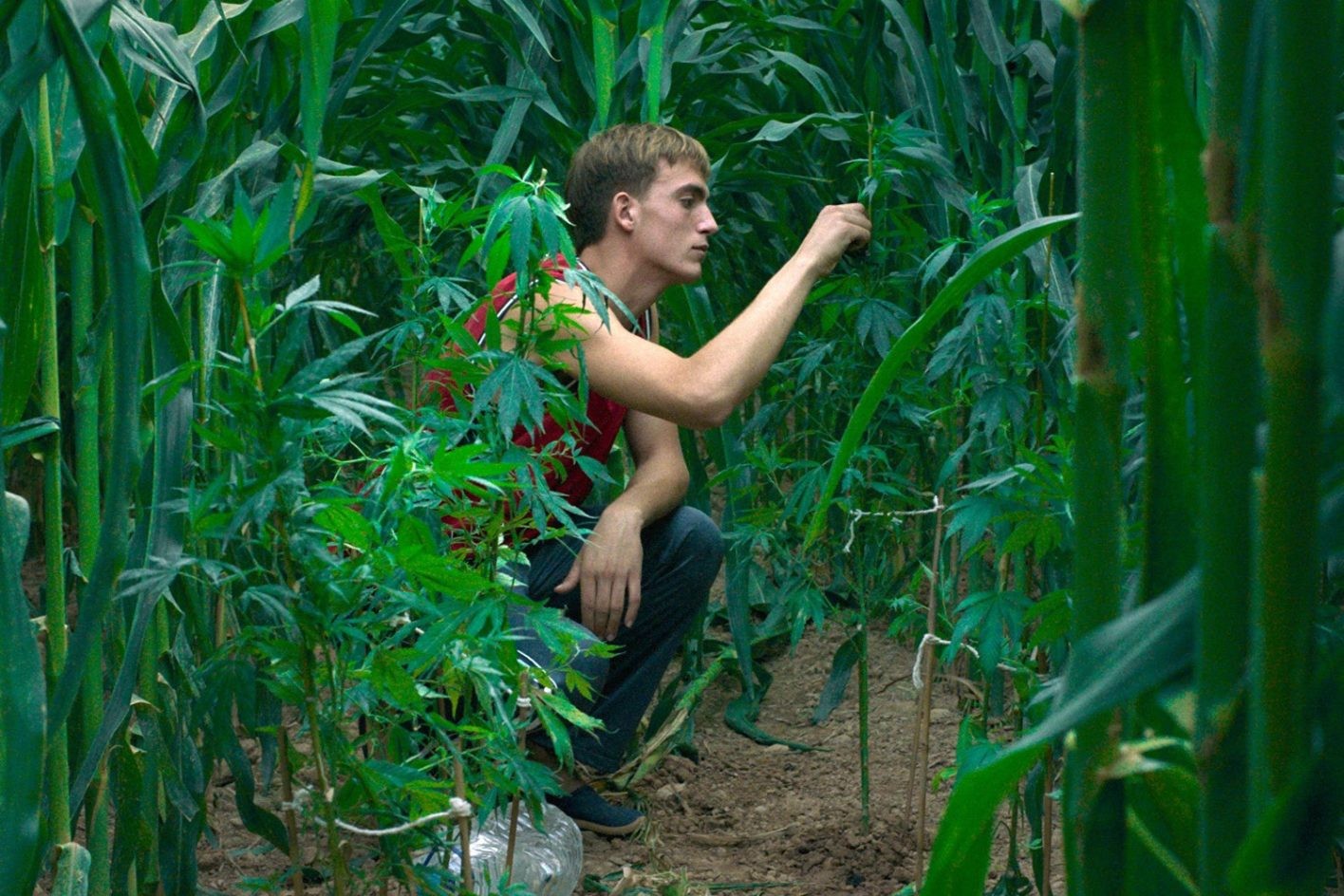 その土地の人と生活しながら書き、自然な関係を映画にする - Slide:3