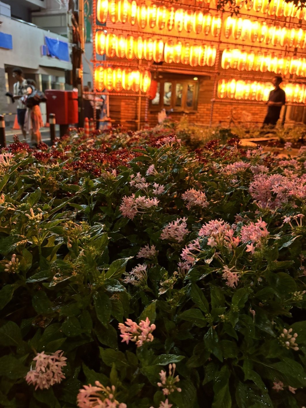 はじめての神輿と祭りのループ - Slide:3