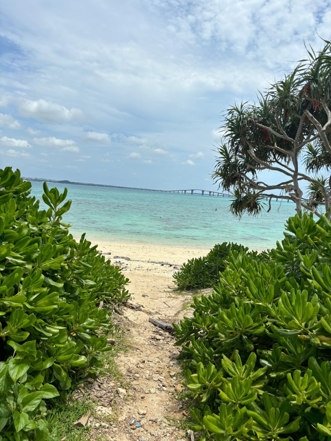 リアルなアイランドとiPhoneに映る情景 - Slide:2