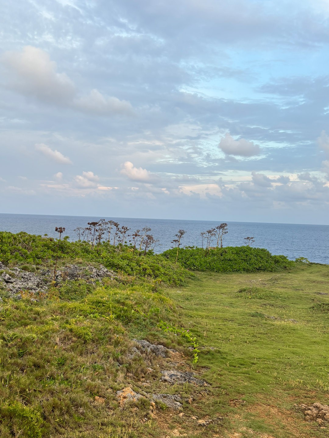 リアルなアイランドとiPhoneに映る情景