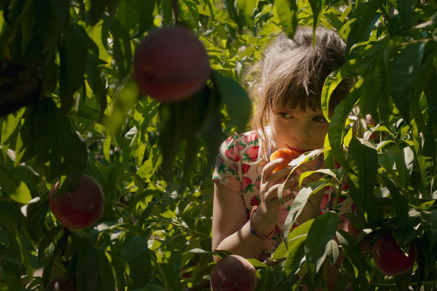 その土地の人と生活しながら書き、自然な関係を映画にする - Slide:2