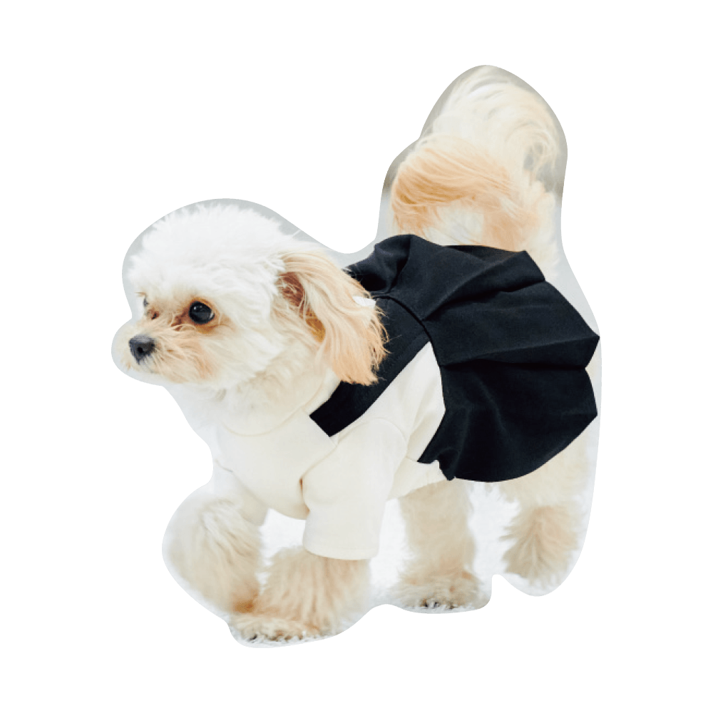 こんにちわ〜ん！わんわんスナップ vol.2 - Slide:1