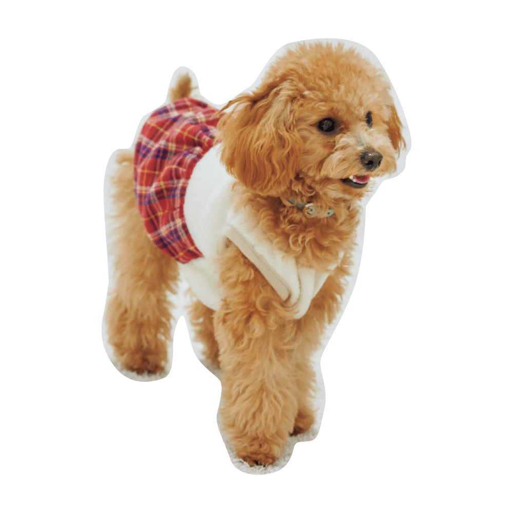 こんにちわ〜ん！わんわんスナップ vol.2 - Slide:4