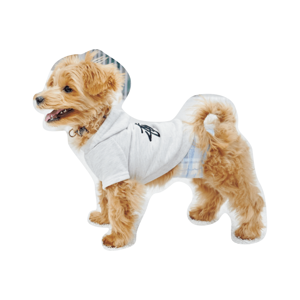 こんにちわ〜ん！わんわんスナップ vol.2 - Slide:7