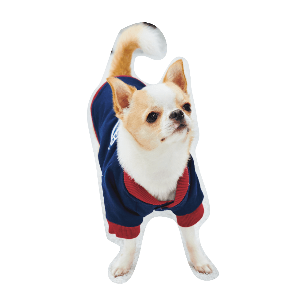 こんにちわ〜ん！わんわんスナップ vol.2 - Slide:9