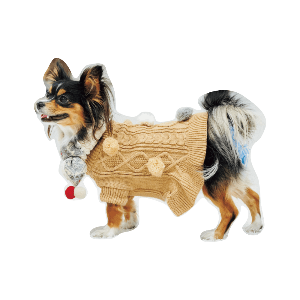 こんにちわ〜ん！わんわんスナップ vol.2 - Slide:11