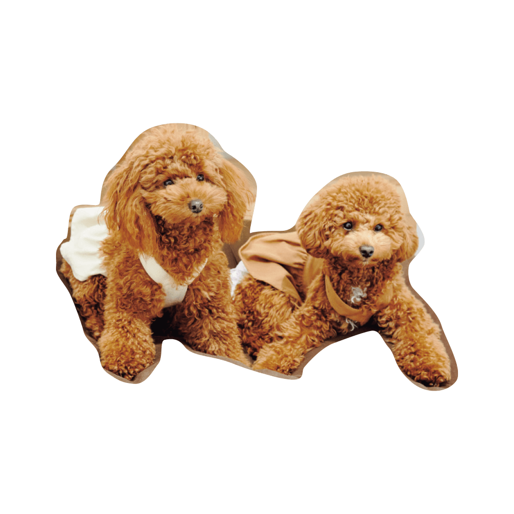 こんにちわ〜ん！わんわんスナップ vol.2 - Slide:17