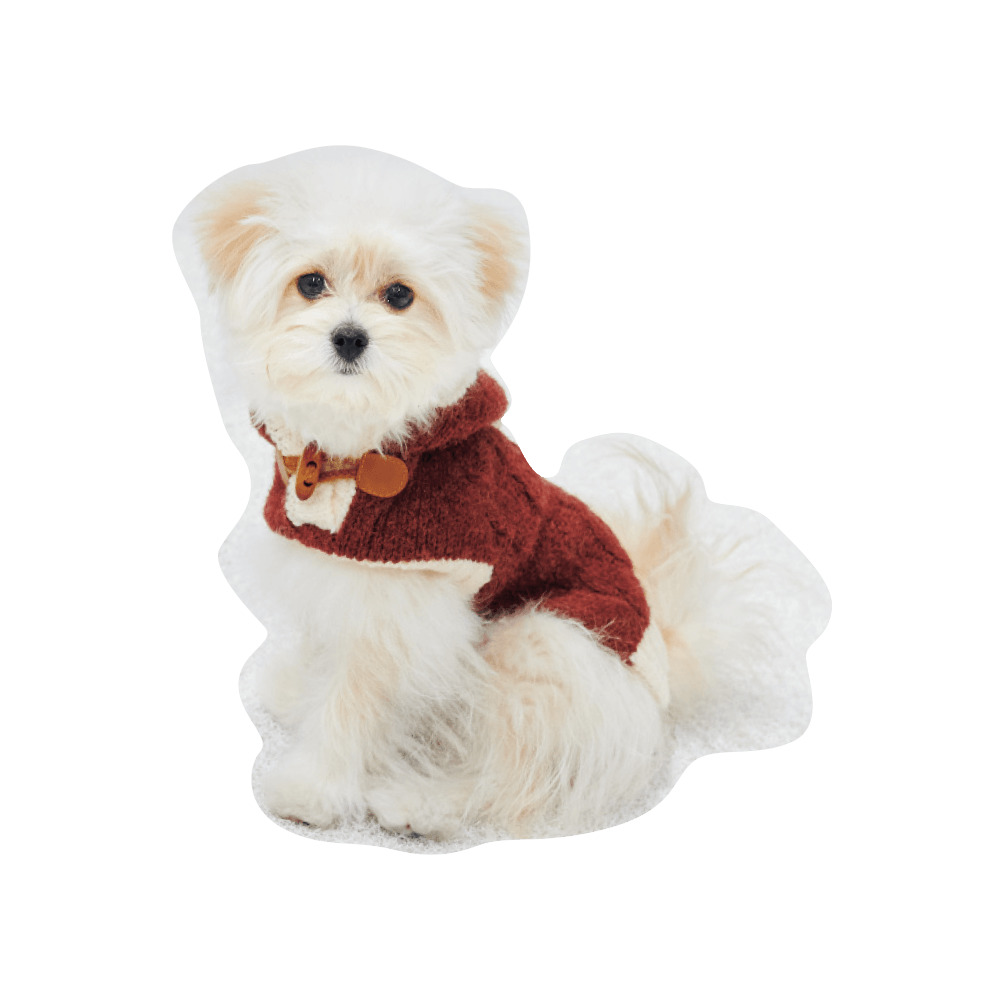 こんにちわ〜ん！わんわんスナップ vol.2 - Slide:19