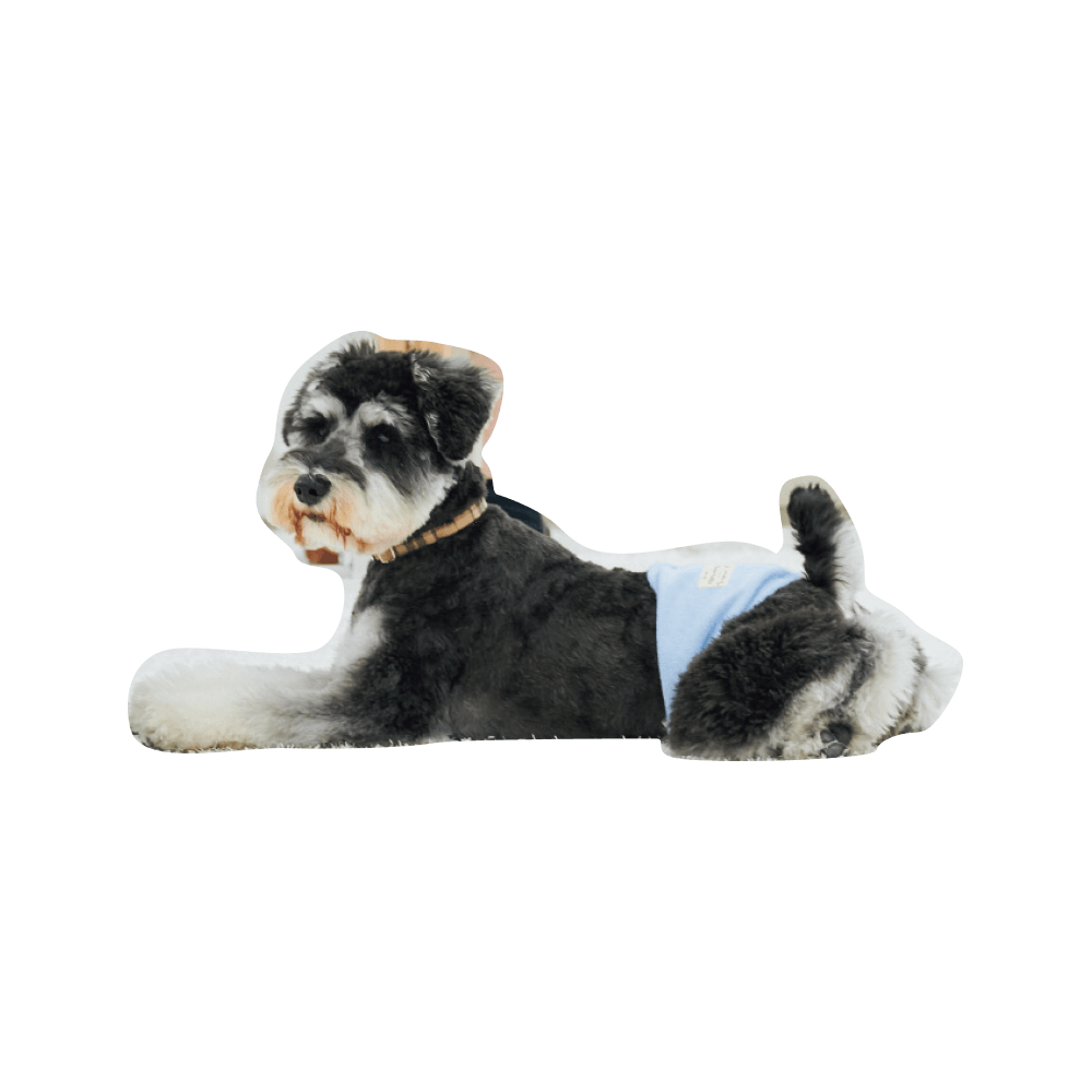 こんにちわ〜ん！わんわんスナップ vol.2 - Slide:29