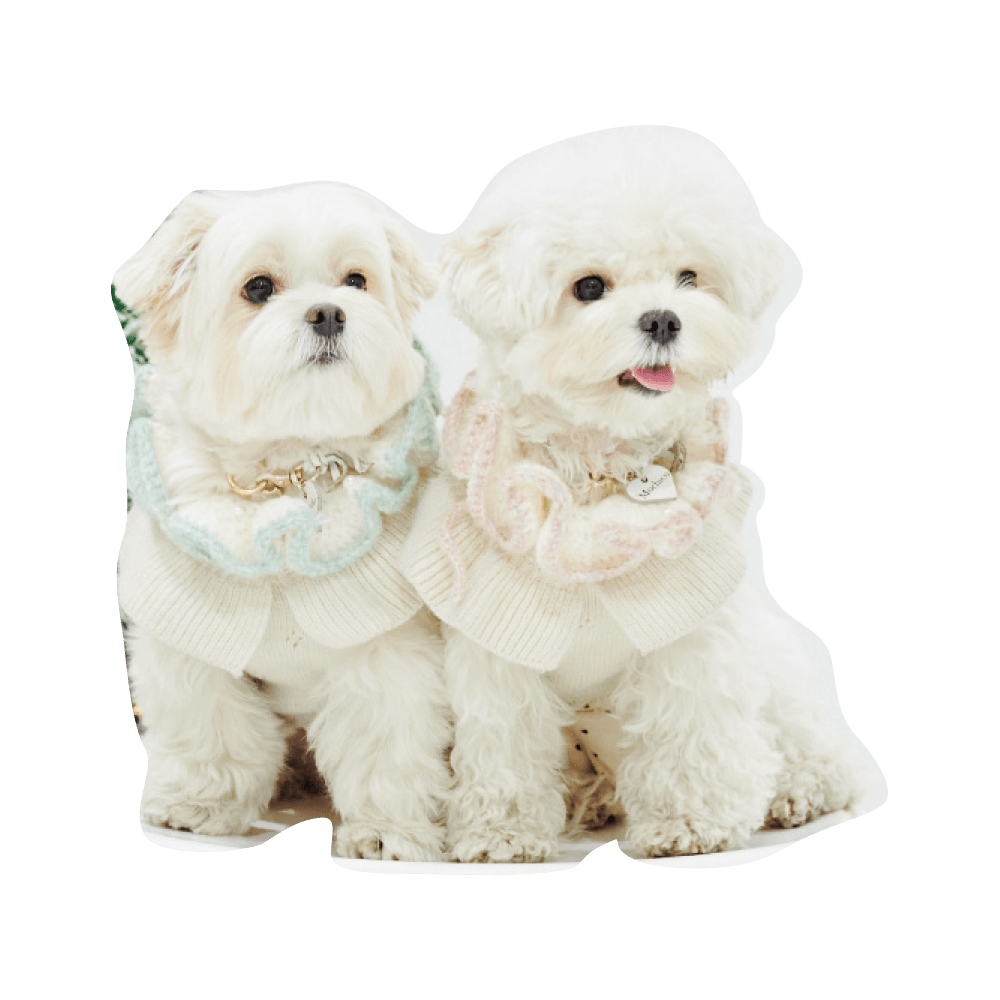 こんにちわ〜ん！わんわんスナップ vol.2 - Slide:31