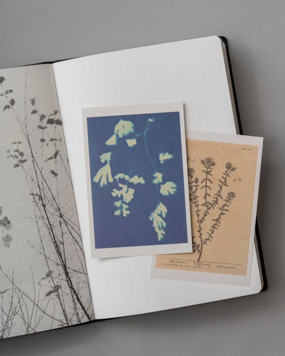 〈ドゥロワー〉がフォトブック『Flower Book』を制作 - Slide:1