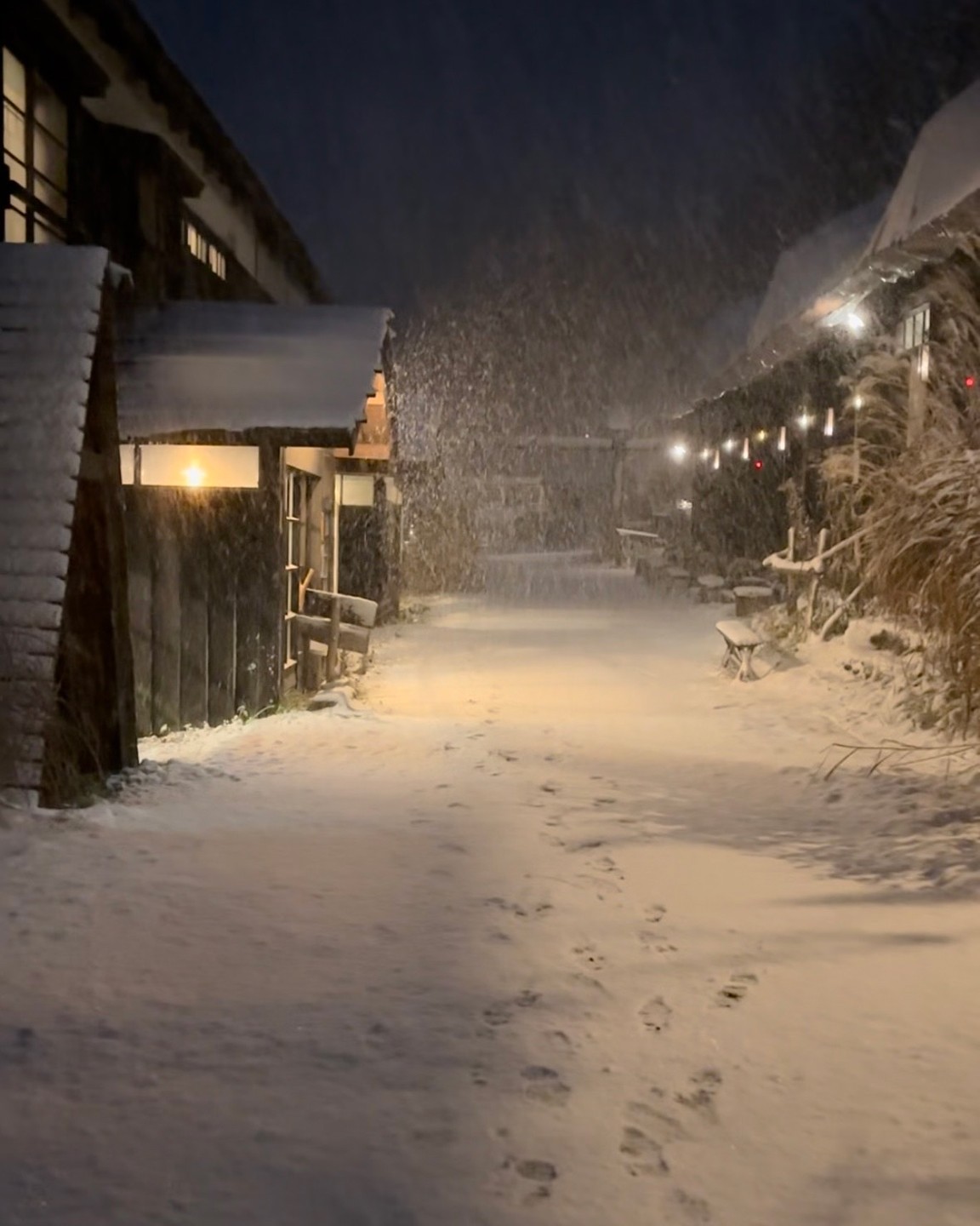 インド系の人間が温泉に入り続けてたらどのような美肌効果を得るのか?