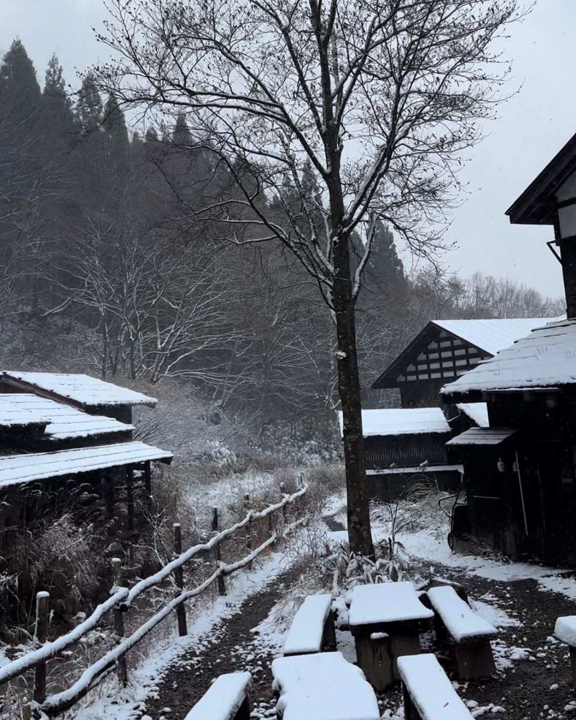 インド系の人間が温泉に入り続けてたらどのような美肌効果を得るのか?