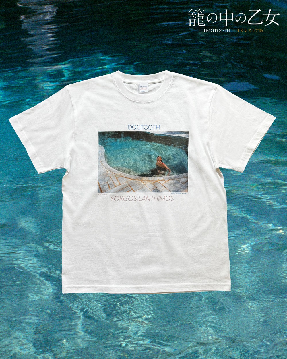 ヨルゴス・ランティモス監督作品　『籠の中の乙女 4K レストア版』　「Sister」　コラボ