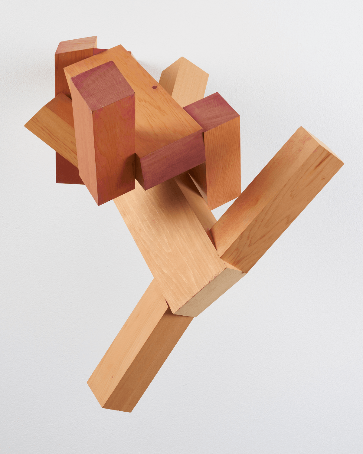 ジョエル・シャピロ