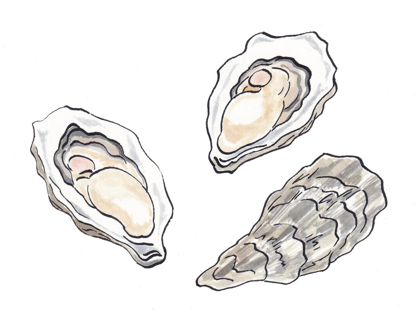 今夜は牡蠣めし