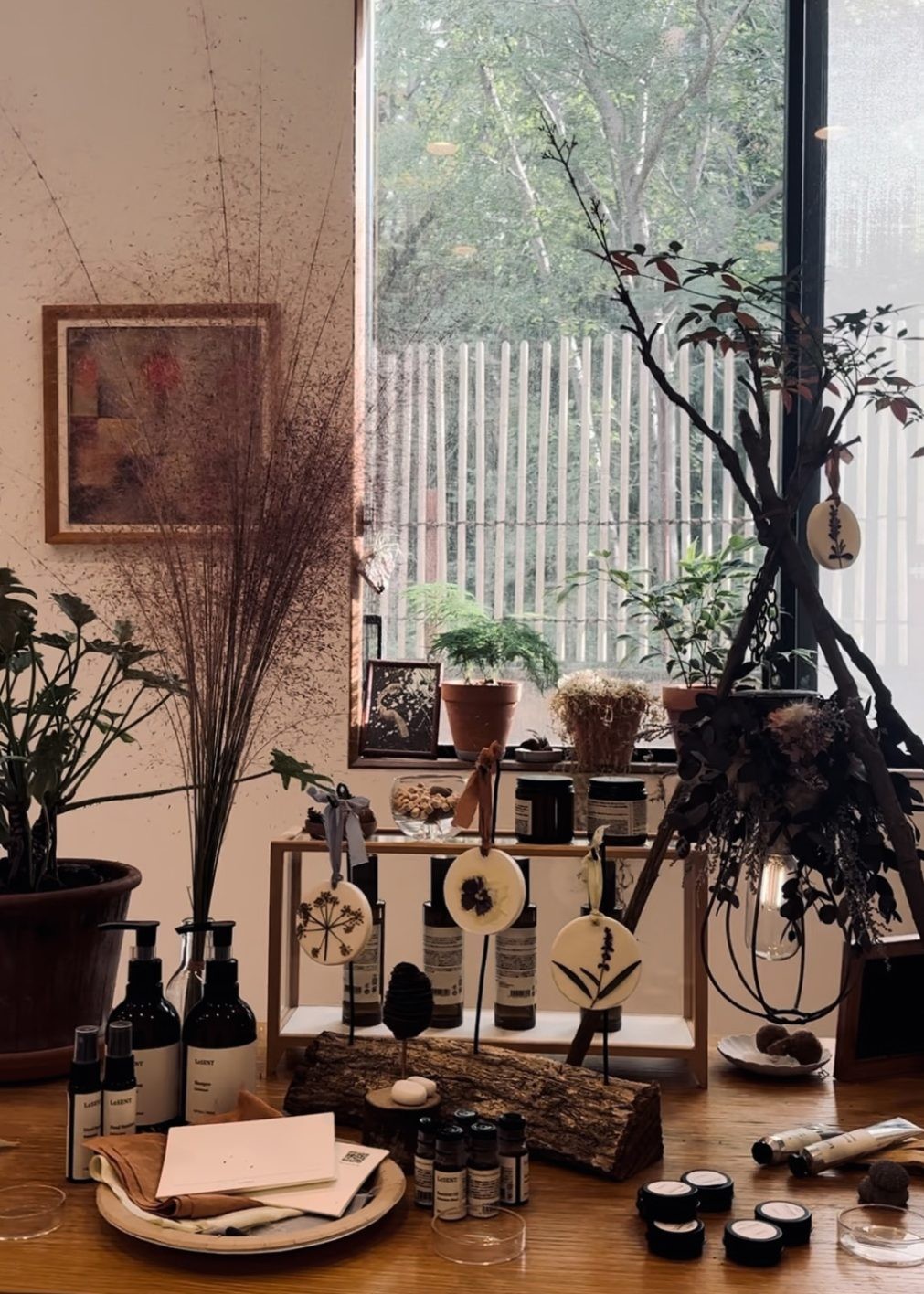 私と部屋 vol.129 草木萌ゆるモダン建築 - Slide:1