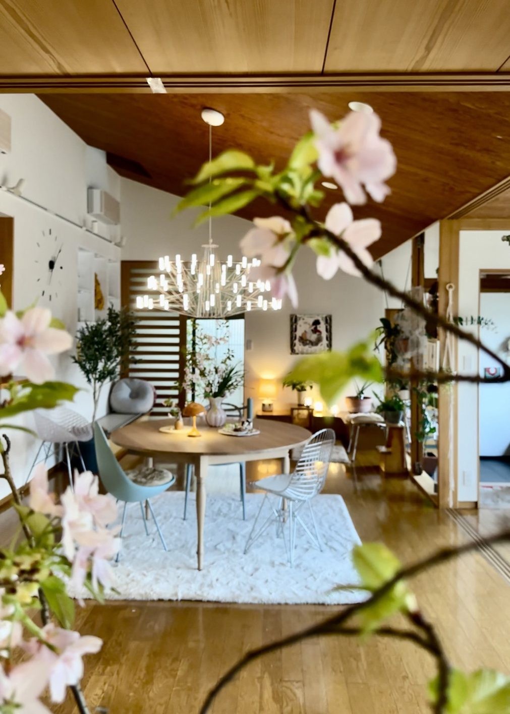 私と部屋 vol.129 草木萌ゆるモダン建築 - Slide:2