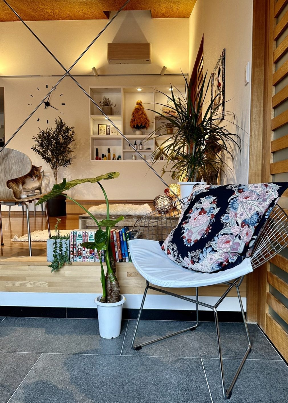 私と部屋 vol.129 草木萌ゆるモダン建築 - Slide:3