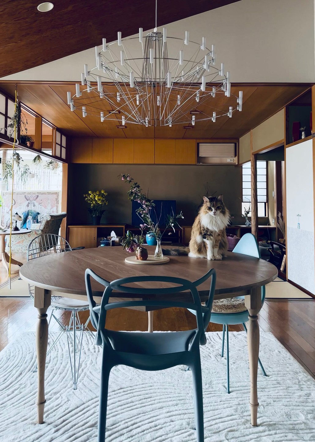 私と部屋 vol.129 草木萌ゆるモダン建築