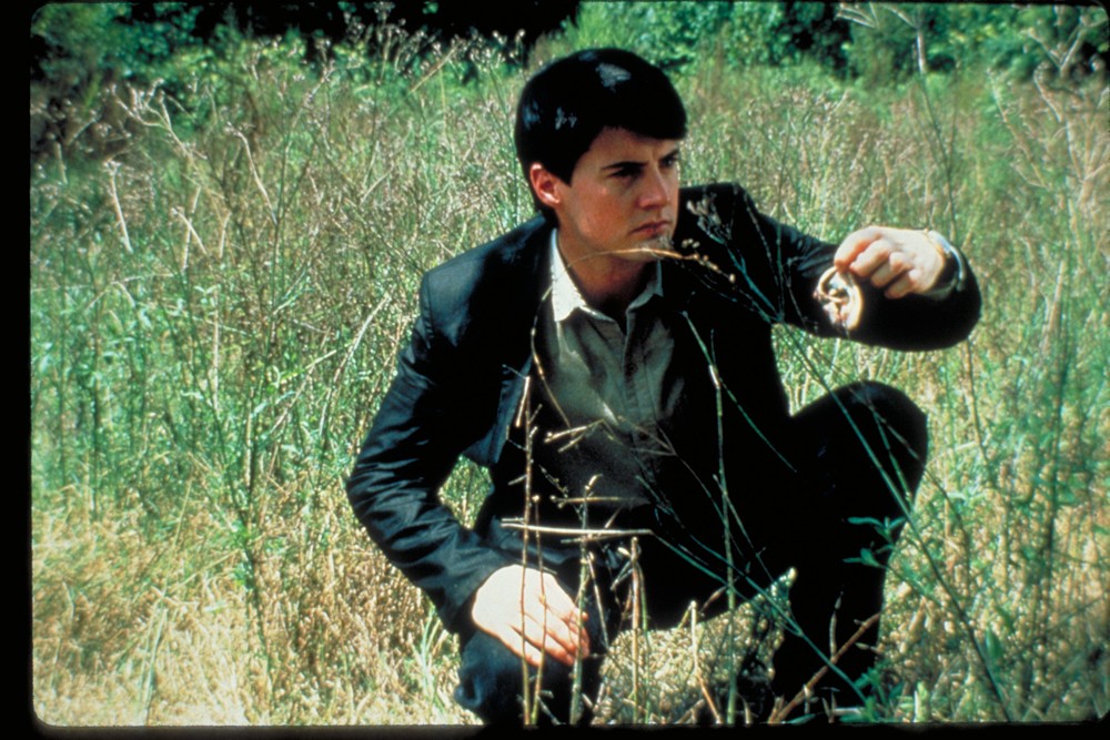 デヴィッド・リンチ監督の映画『ブルーベルベット』 - Slide:1