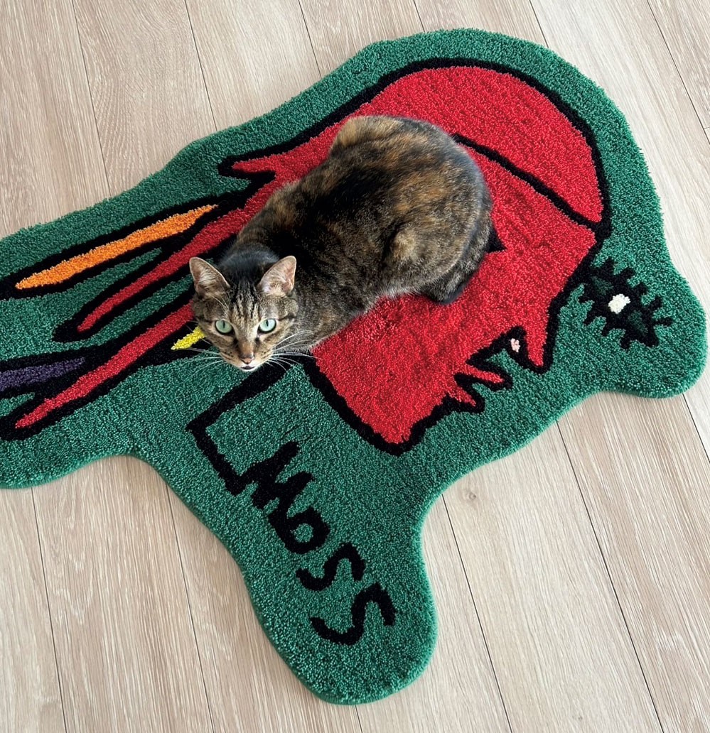 猫がいる暮らし。水川あさみとニコとコモ - Slide:2