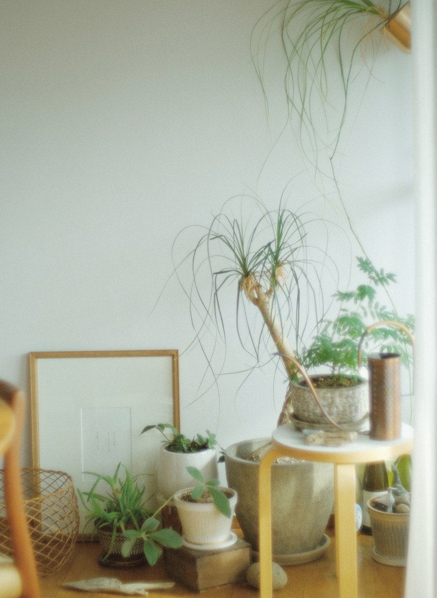 詩人、コピーライター若尾まことのボタニカルな日々を拝見 vol.5 - Slide:1