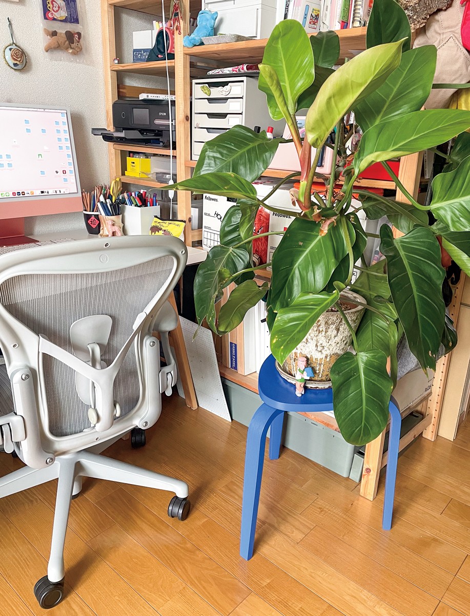 イラストレーター中島ミドリのボタニカルな日々を拝見 vol.4 - Slide:2