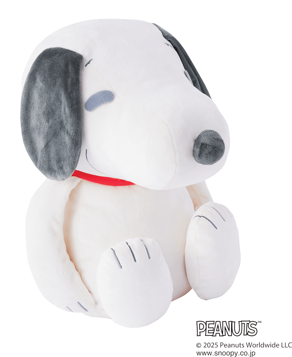 おうちフィットネスこそ、さりげなく - Slide:2