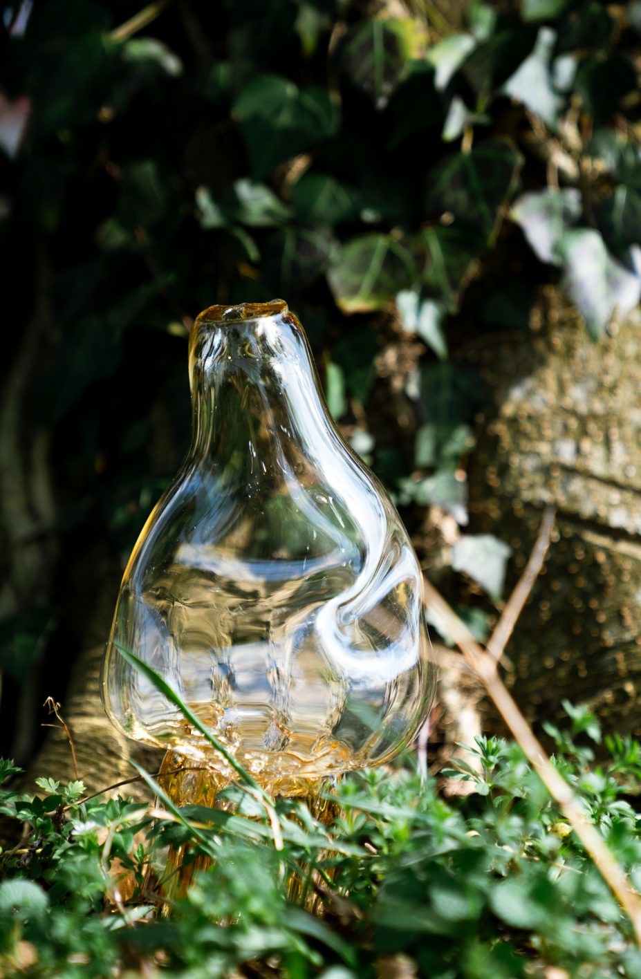 Yuri Iwamoto - Slide:3