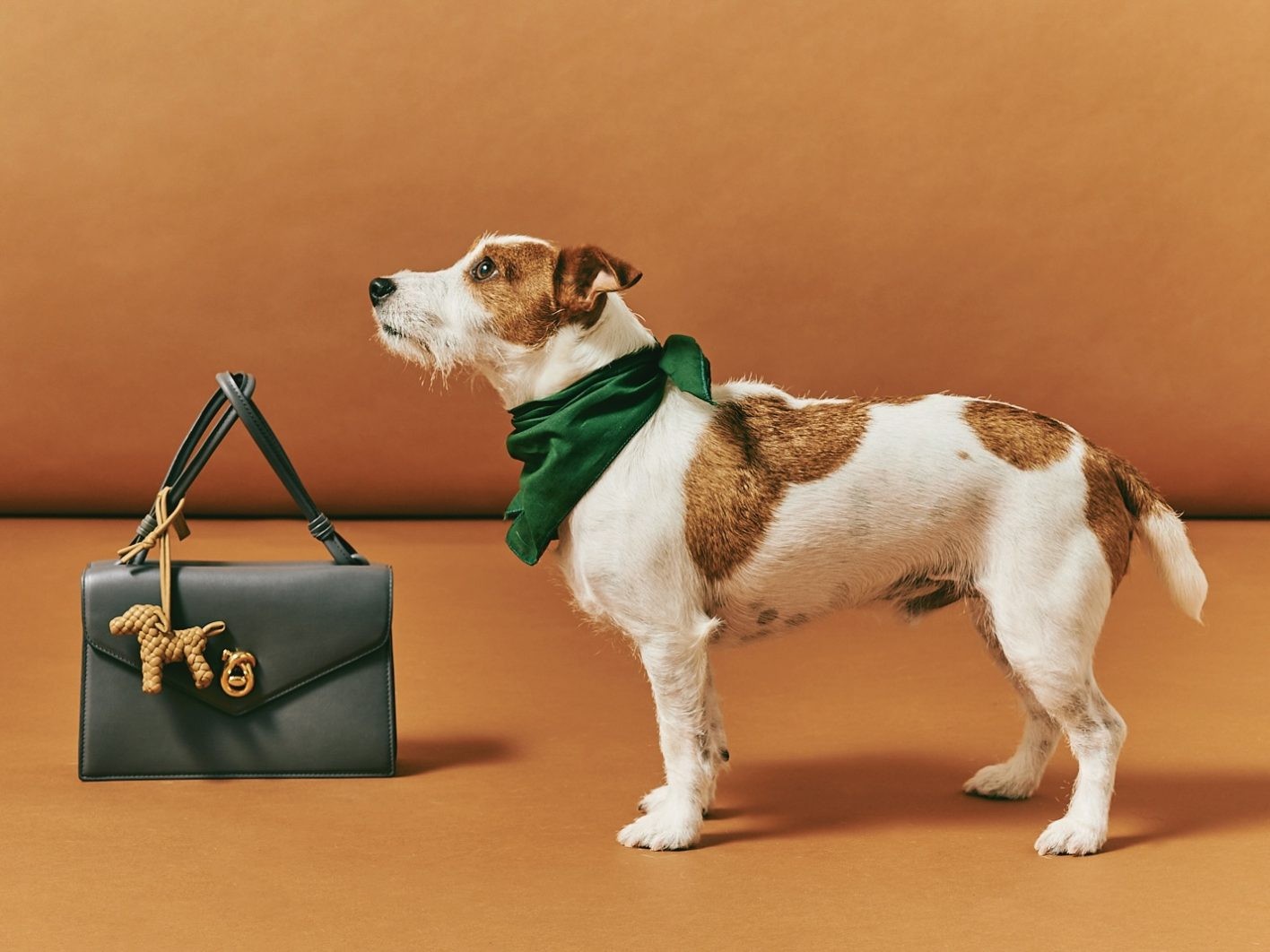 bottega veneta　ボッテガヴェネタ 犬 バッグ