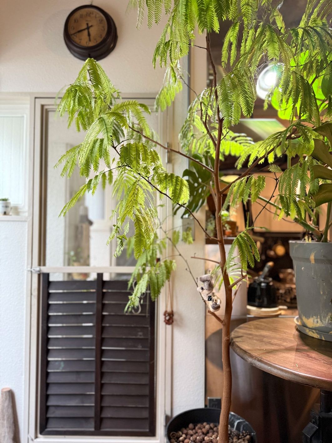 私と部屋 vol.132 心踊るマテリアル - Slide:1