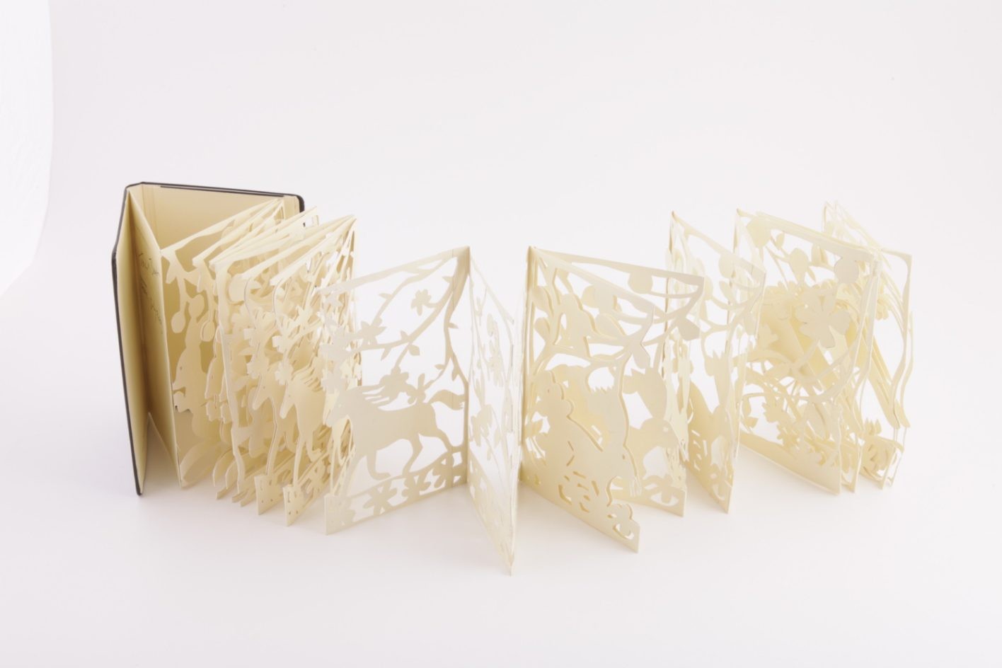 モレスキン - Slide:5