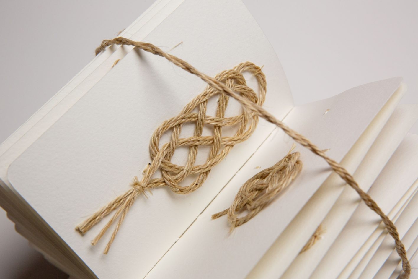 モレスキン - Slide:4