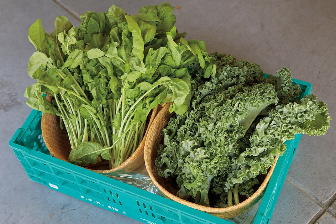 木村喜商店の野菜 - Slide:1