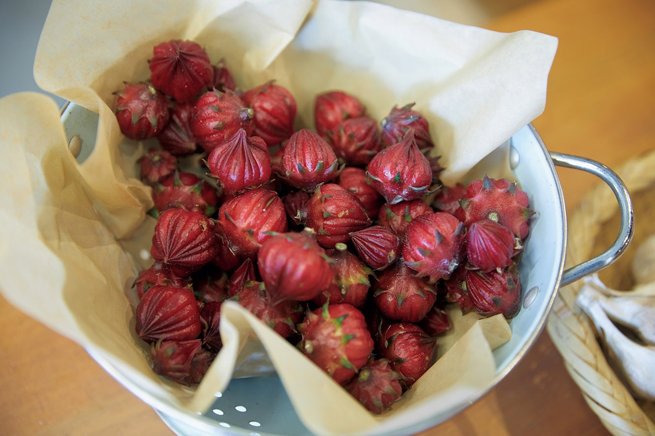 木村喜商店のローゼル - Slide:2