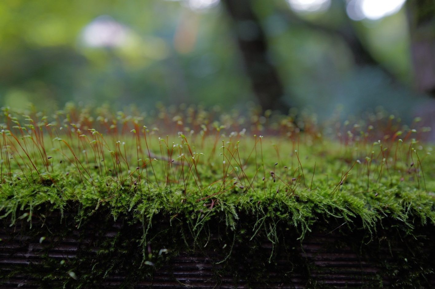 綾瀬はるか「はるにっき」vol.12 - Slide:4