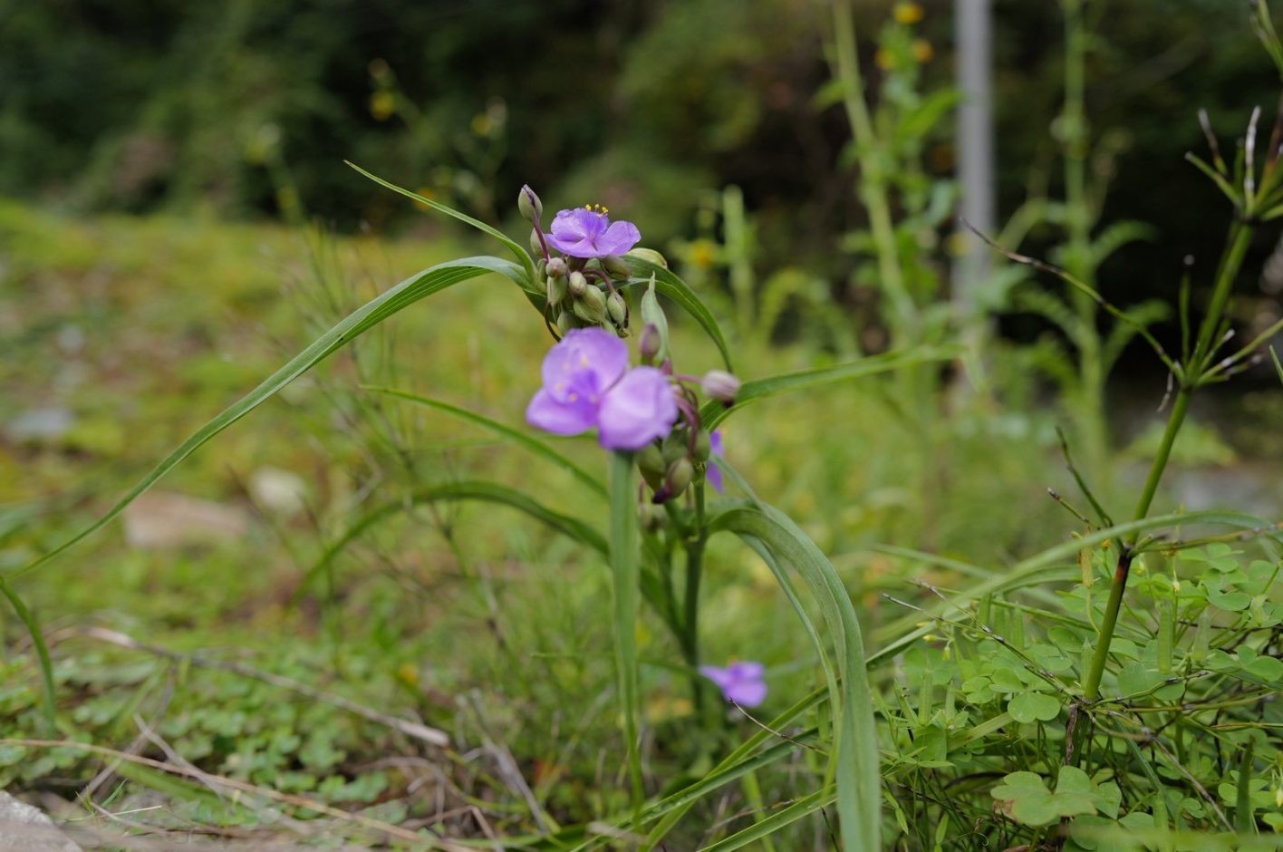 綾瀬はるか「はるにっき」vol.12