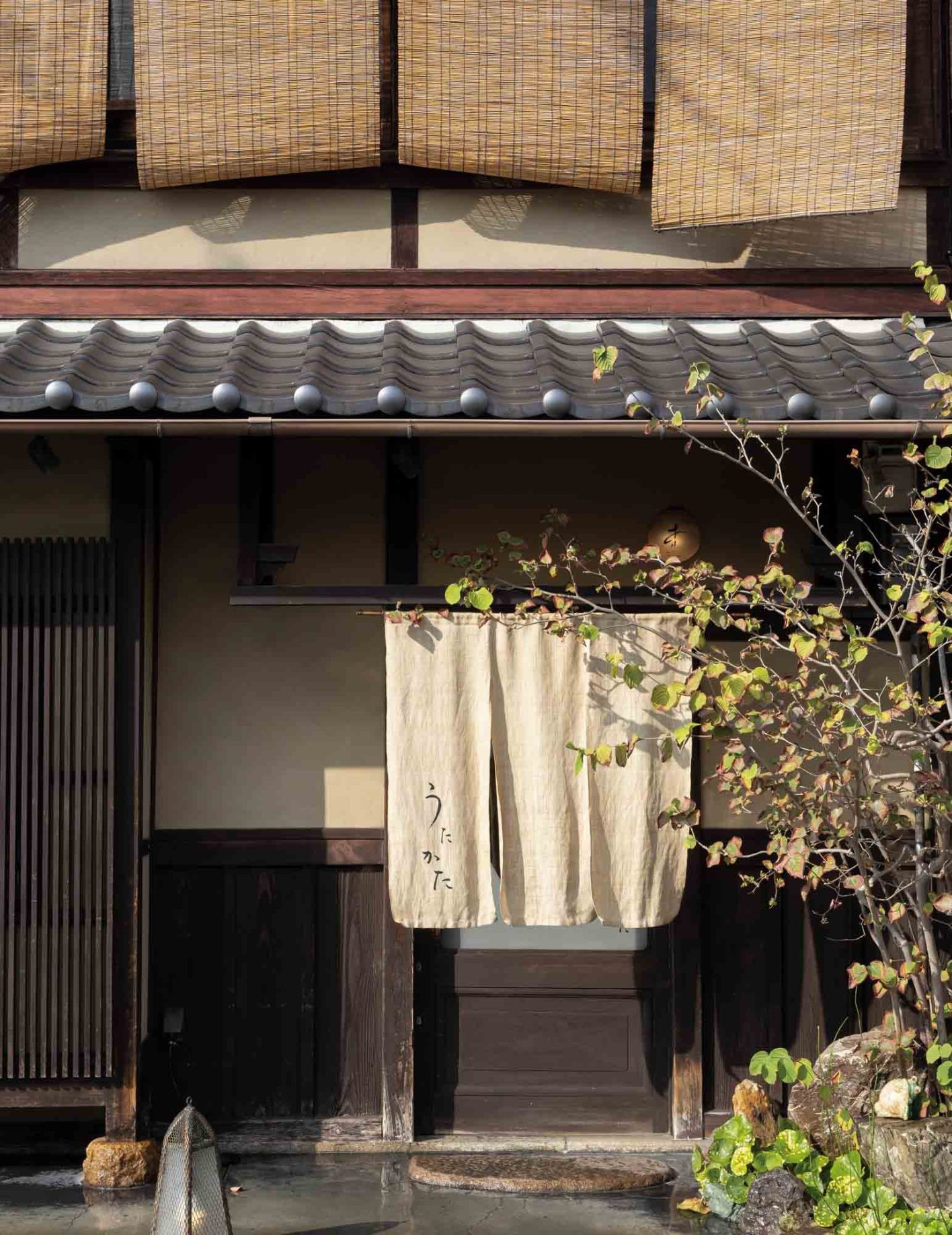 京都で地元民に愛される、おばんざいの店「うたかた」