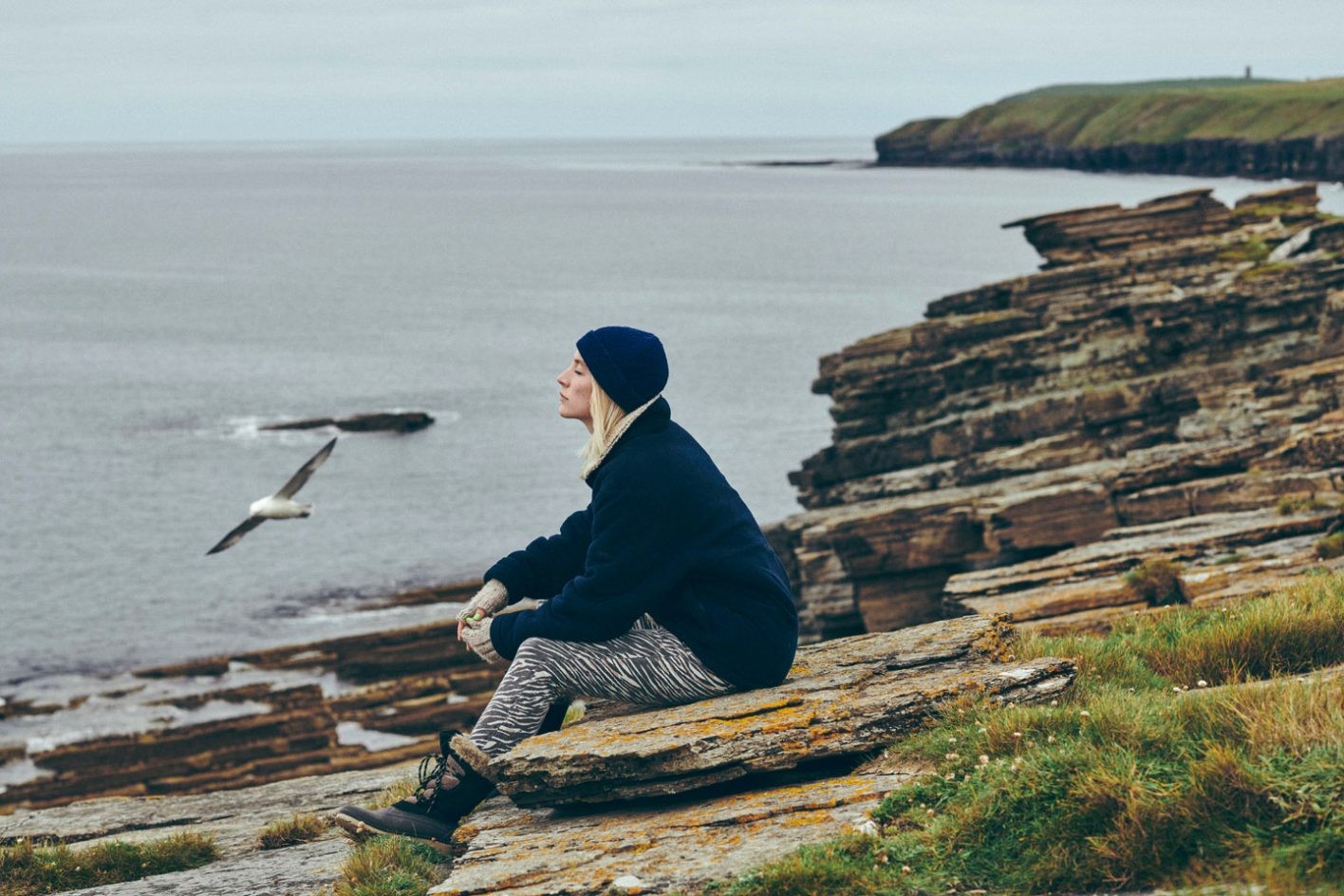 『おくびょう鳥が歌うほうへ』 - Slide:2